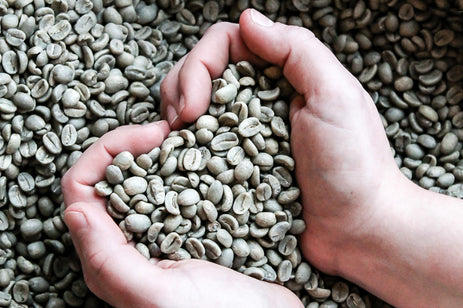 Specialty Coffee Defined